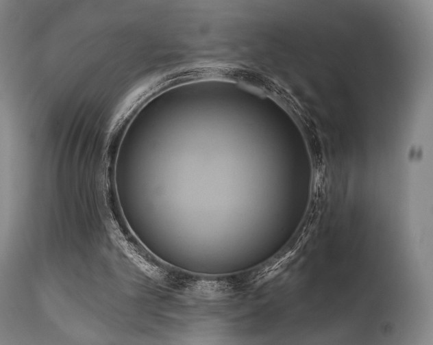 X0000111820101200907231328
