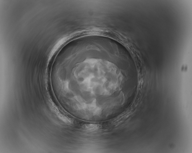 X0000111820102200907231328