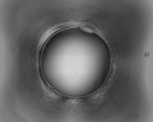 X0000111820103200907231328