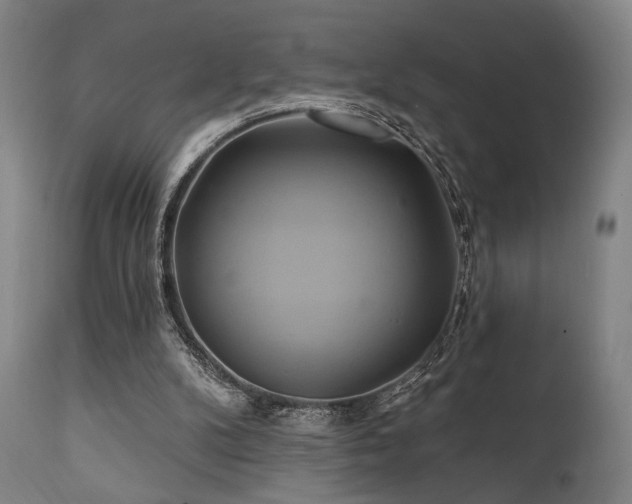 X0000111820104200907231328