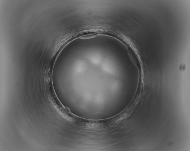 X0000111820105200907231328