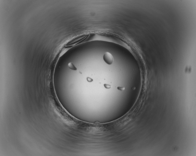 X0000111820107200907231328