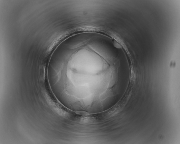 X0000111820109200907231328