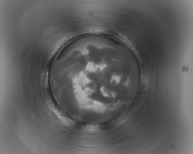 X0000111820110200907231328