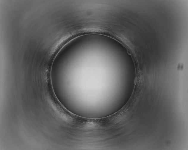 X0000111820111200907231328