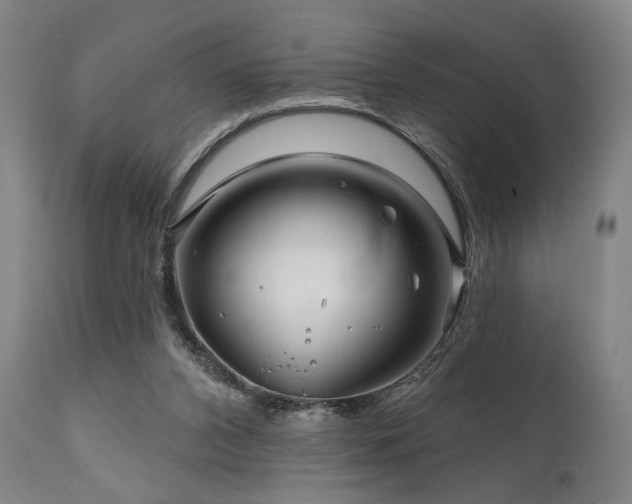 X0000111820112200907231328