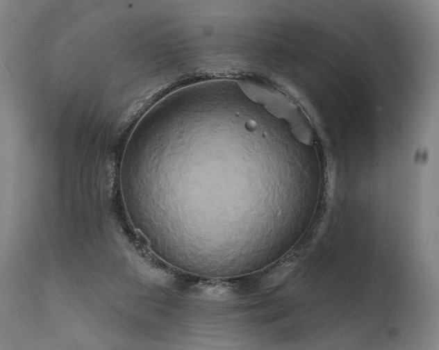 X0000111820113200907231328