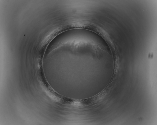 X0000111820114200907231327