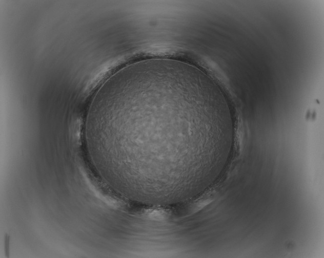 X0000111820115200907231327