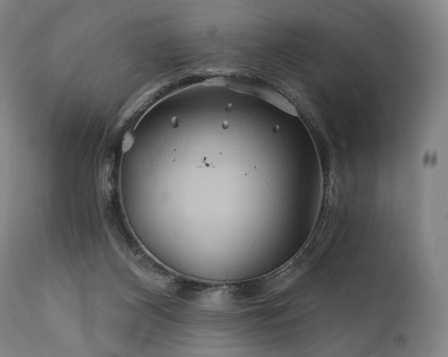 X0000111820116200907231327