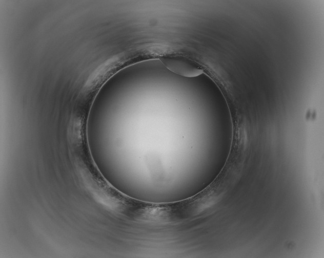 X0000111820117200907231327