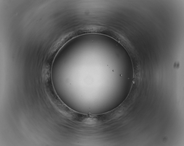X0000111820119200907231327