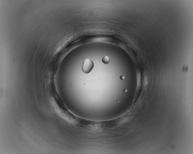 X0000111820120200907231327