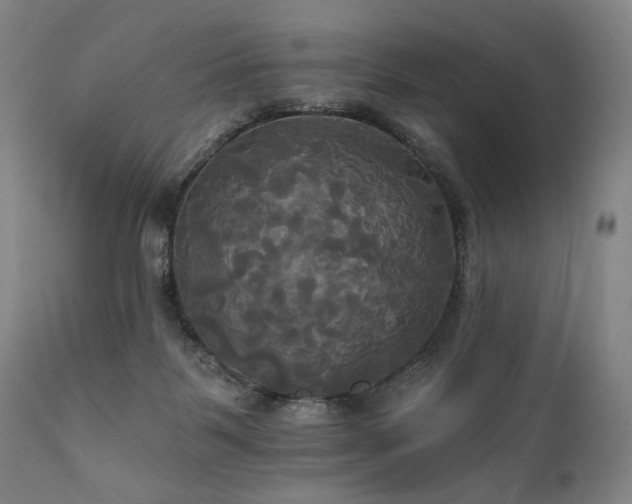X0000111820123200907231327
