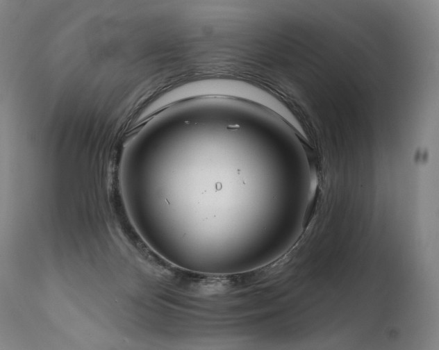 X0000111820124200907231327