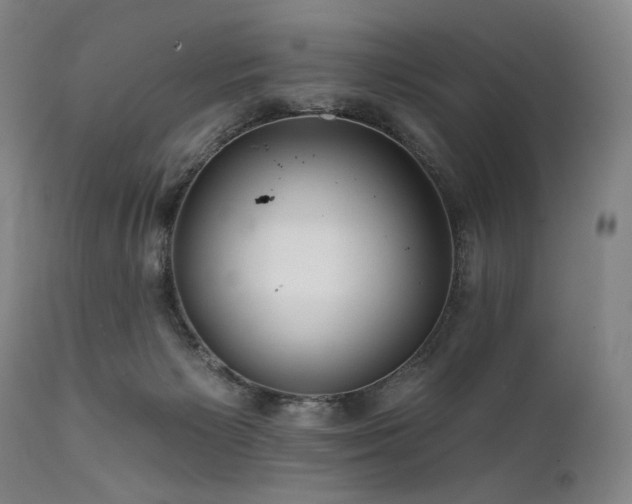 X0000111820125200907231327
