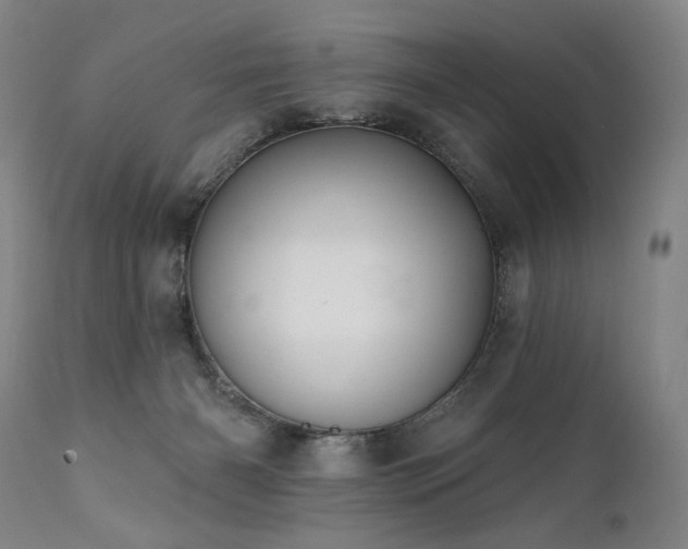 X0000111820126200907231327