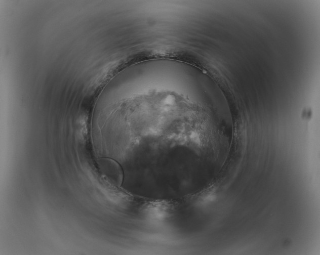 X0000111820127200907231327