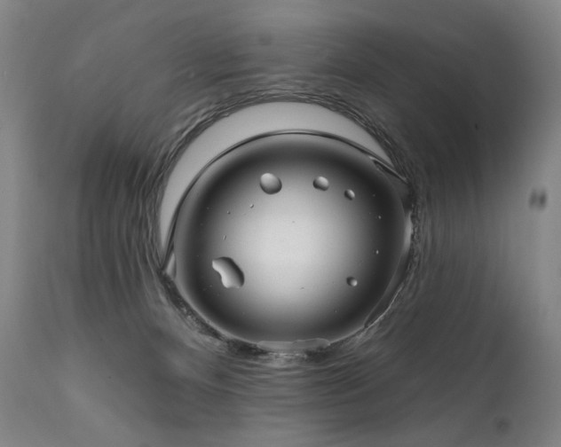 X0000111820128200907231327