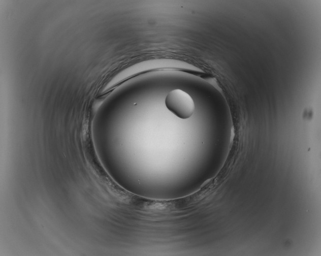 X0000111820129200907231327