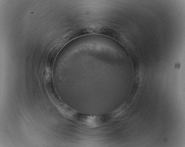 X0000111820130200907231327