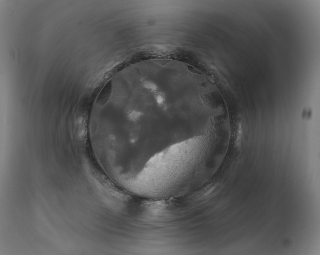 X0000111820131200907231327