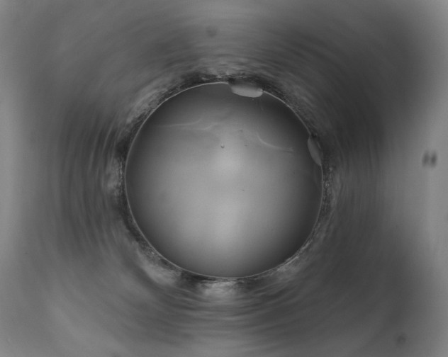 X0000111820132200907231327