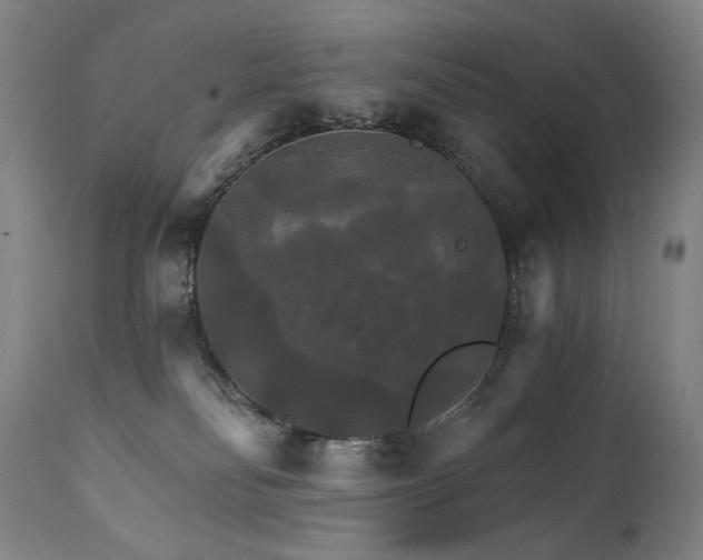 X0000111820134200907231327