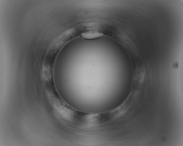 X0000111820136200907231327