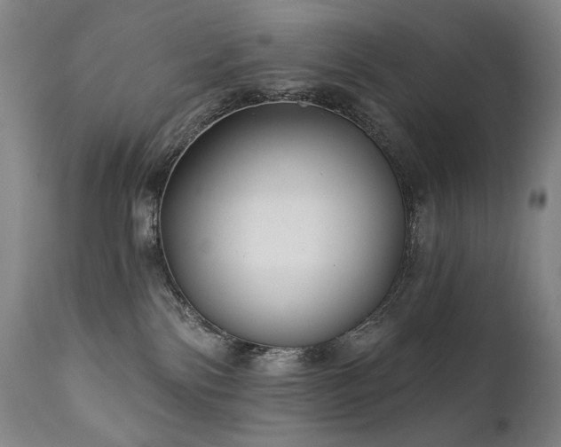 X0000111820138200907231327