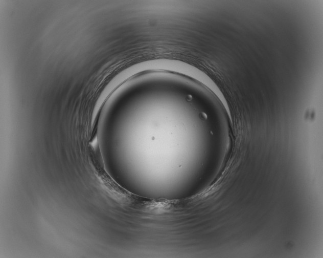 X0000111820140200907231327