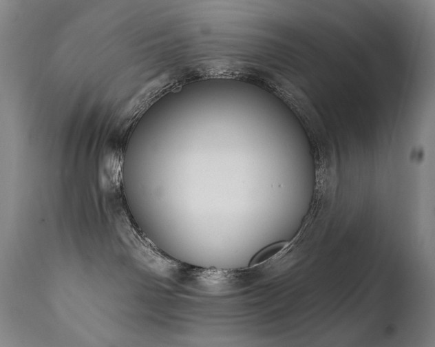 X0000111820142200907231327