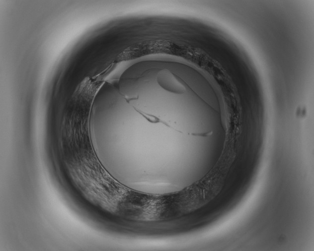 X0000111820143200907231327