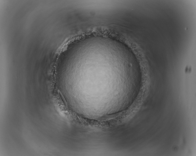 X0000111820144200907231327