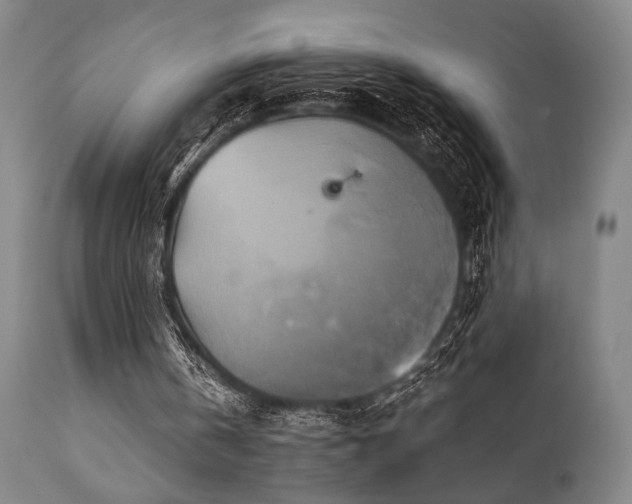 X0000111820146200907231326
