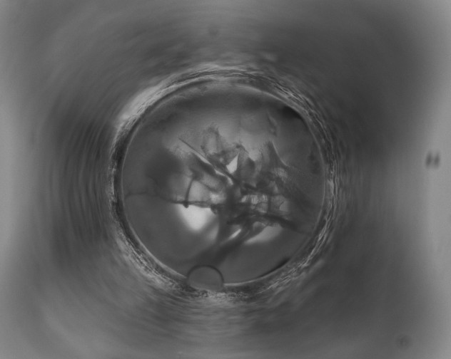 X0000111820149200907231326