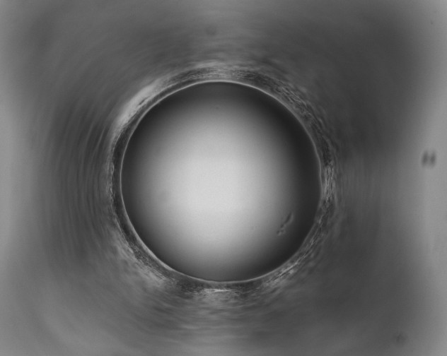 X0000111820150200907231326