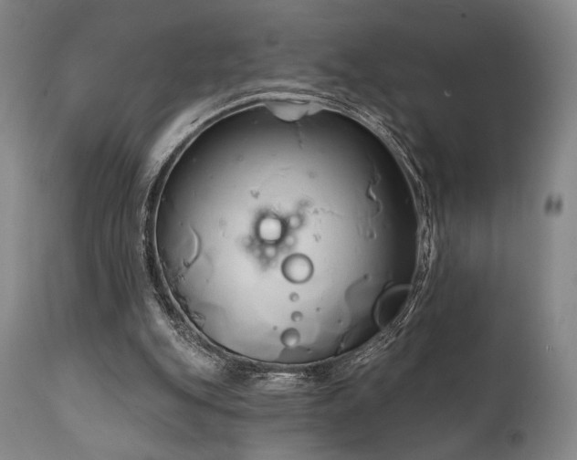 X0000111820151200907231326