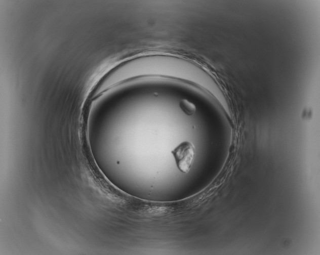 X0000111820152200907231326