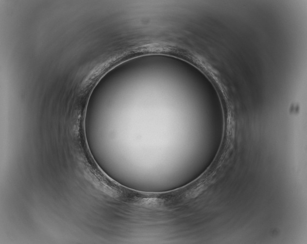X0000111820153200907231326