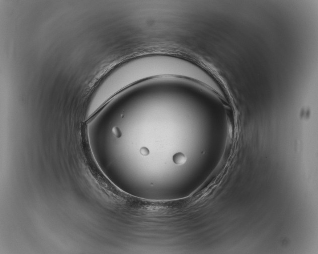 X0000111820154200907231326