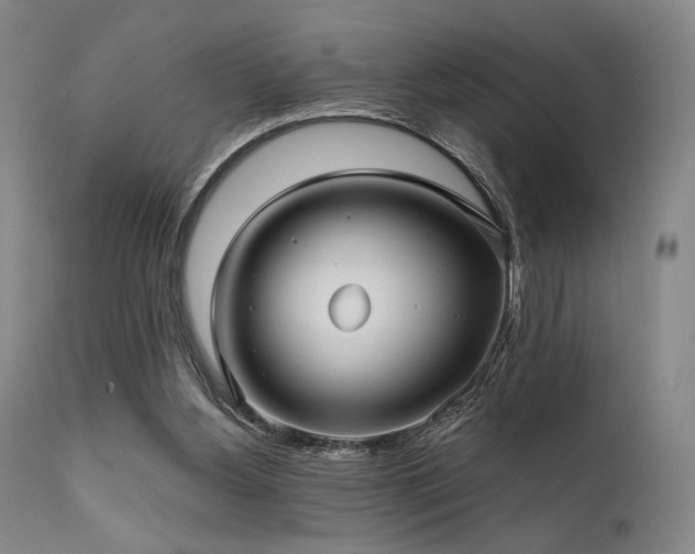 X0000111820156200907231326