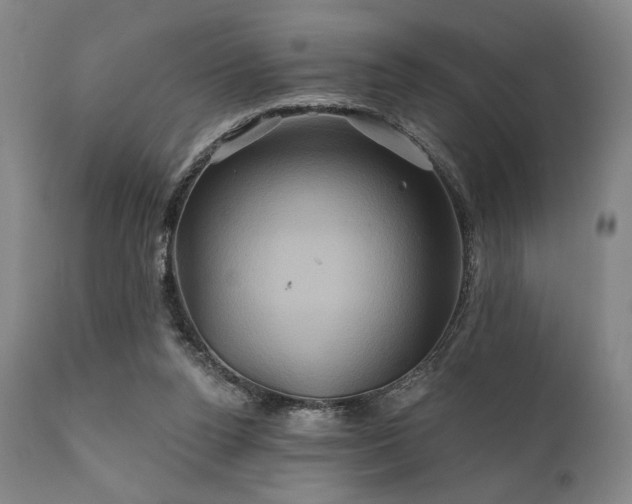 X0000111820160200907231326