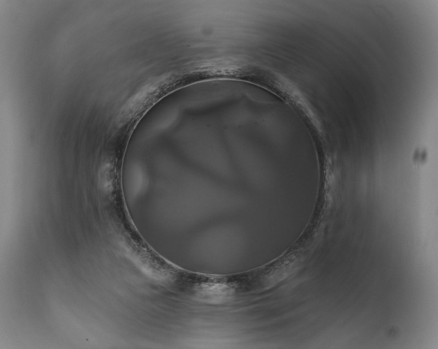 X0000111820161200907231326