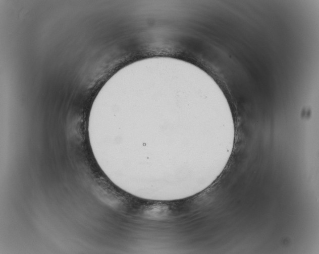 X0000111820162200907231326