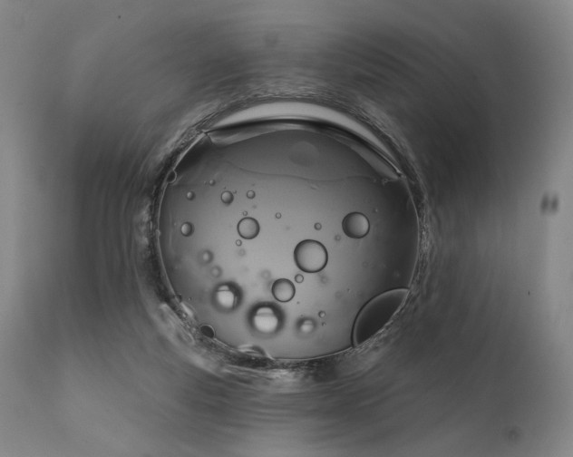 X0000111820163200907231326
