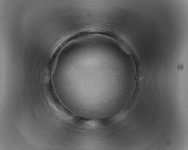 X0000111820164200907231326