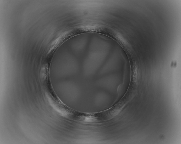X0000111820165200907231326