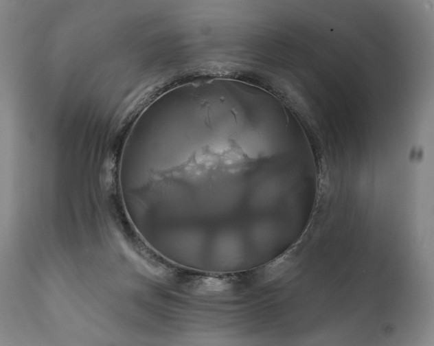 X0000111820166200907231326