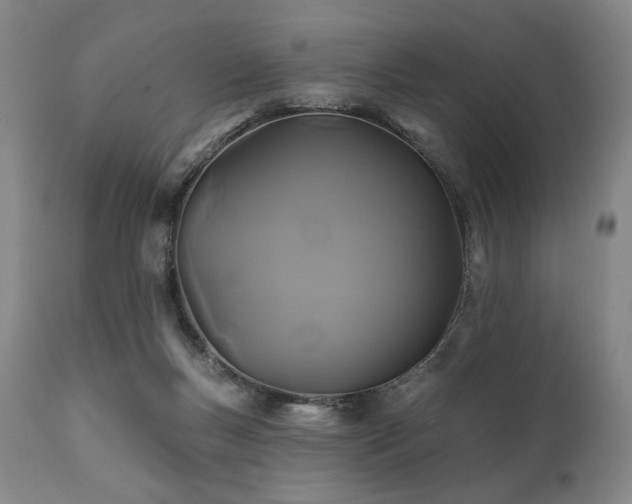 X0000111820167200907231326